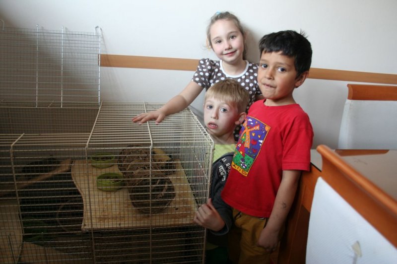 Obisk pri sošolki Anemarie