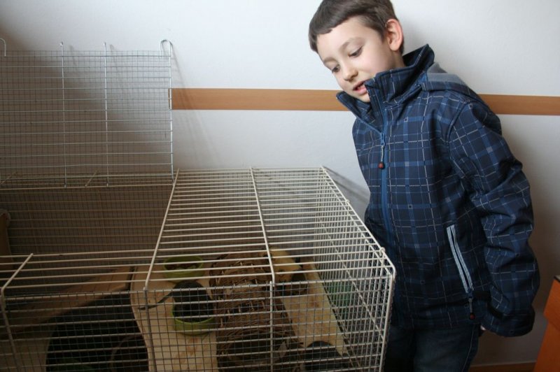 Obisk pri sošolki Anemarie