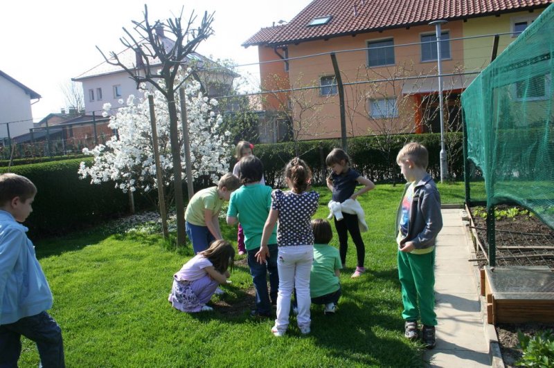 Obisk pri sošolki Anemarie