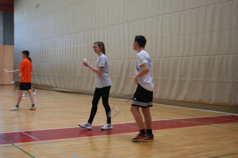 Področno ekipno prvenstvo v badmintonu