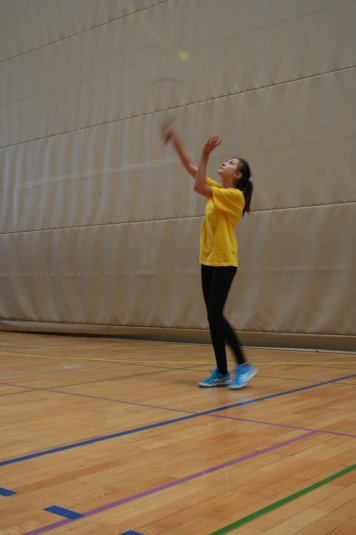 Področno ekipno prvenstvo v badmintonu