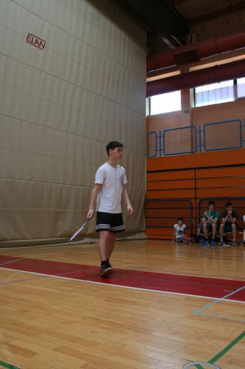 Področno ekipno prvenstvo v badmintonu