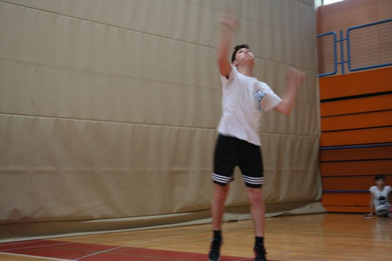 Področno ekipno prvenstvo v badmintonu