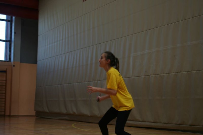 Področno ekipno prvenstvo v badmintonu