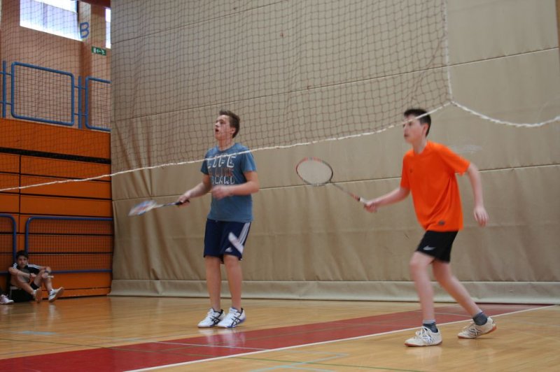 Področno ekipno prvenstvo v badmintonu