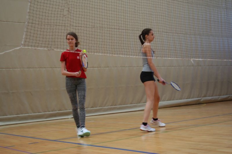 Področno ekipno prvenstvo v badmintonu