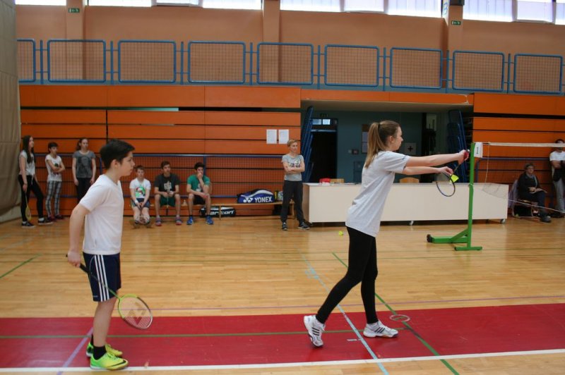 Področno ekipno prvenstvo v badmintonu