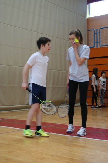 Področno ekipno prvenstvo v badmintonu