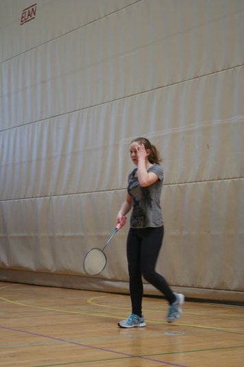 Področno ekipno prvenstvo v badmintonu