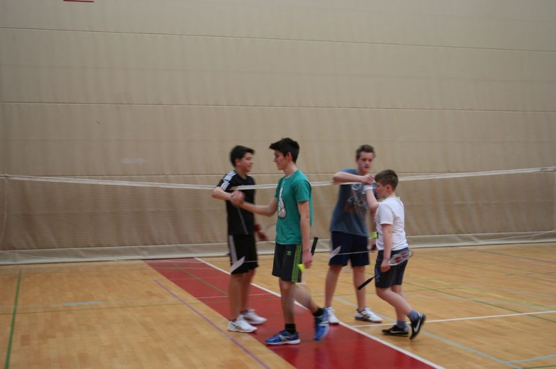 Področno ekipno prvenstvo v badmintonu