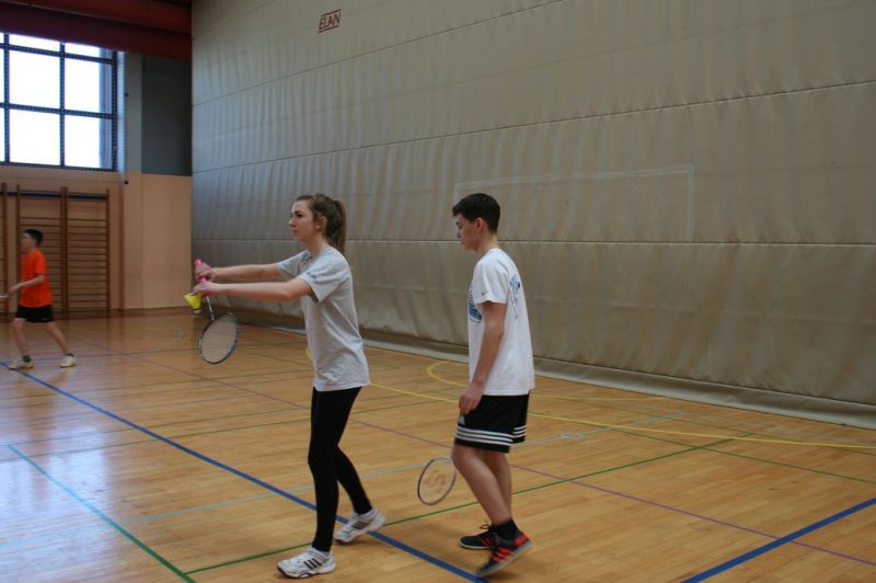 Področno ekipno prvenstvo v badmintonu