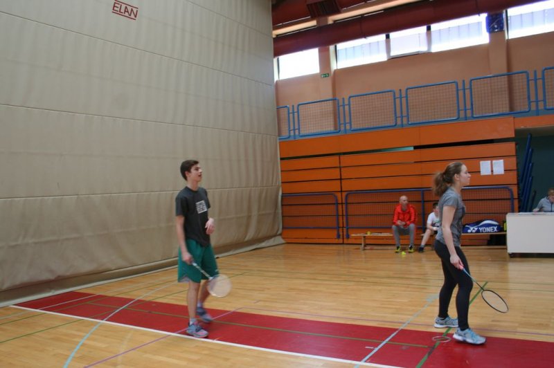 Področno ekipno prvenstvo v badmintonu