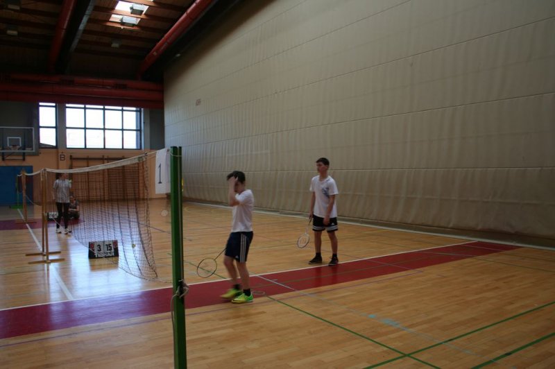 Področno ekipno prvenstvo v badmintonu