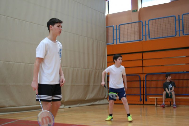 Področno ekipno prvenstvo v badmintonu