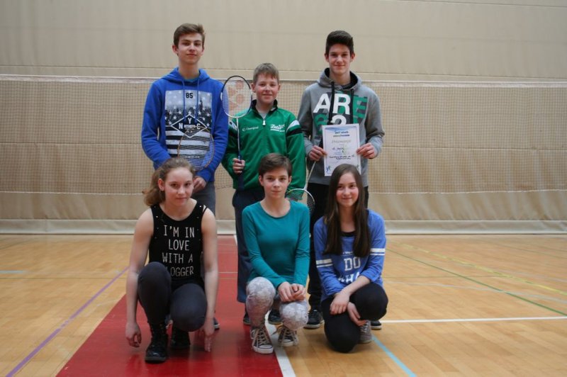 Področno ekipno prvenstvo v badmintonu