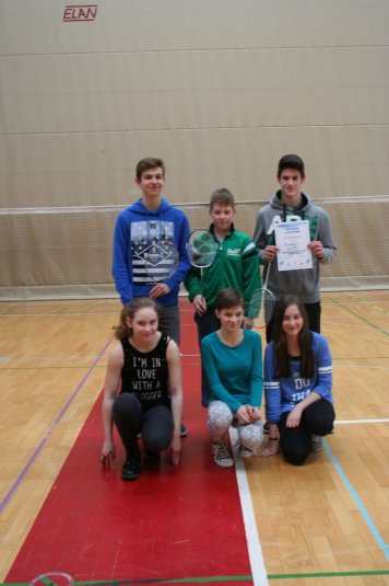 Področno ekipno prvenstvo v badmintonu