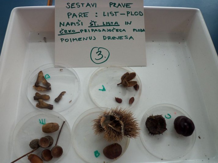 Teden v Črmošnjicah