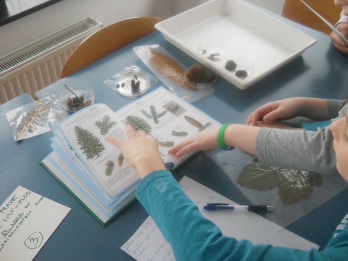 Teden v Črmošnjicah