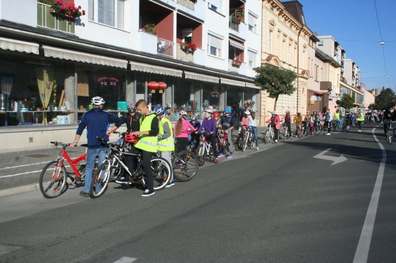 Dan brez avtomobila 2015