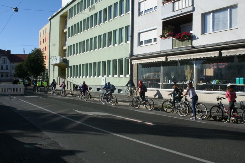 Dan brez avtomobila 2015