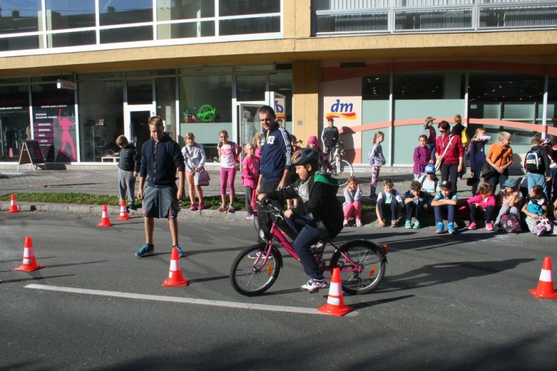 Dan brez avtomobila 2015