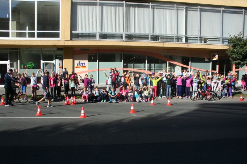 Dan brez avtomobila 2015