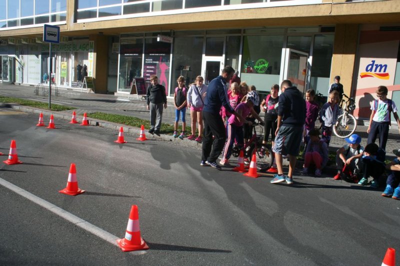 Dan brez avtomobila 2015