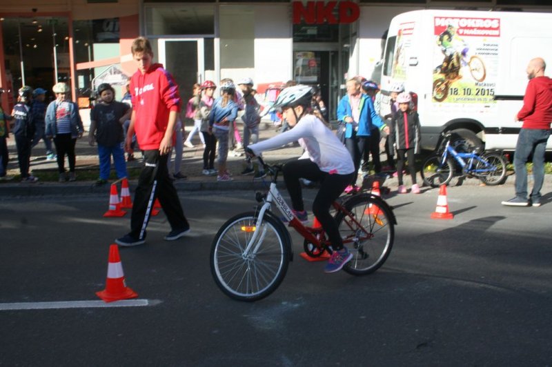 Dan brez avtomobila 2015