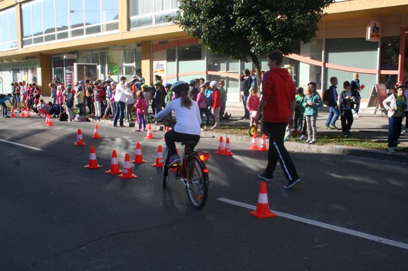 Dan brez avtomobila 2015