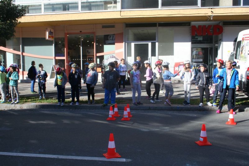 Dan brez avtomobila 2015