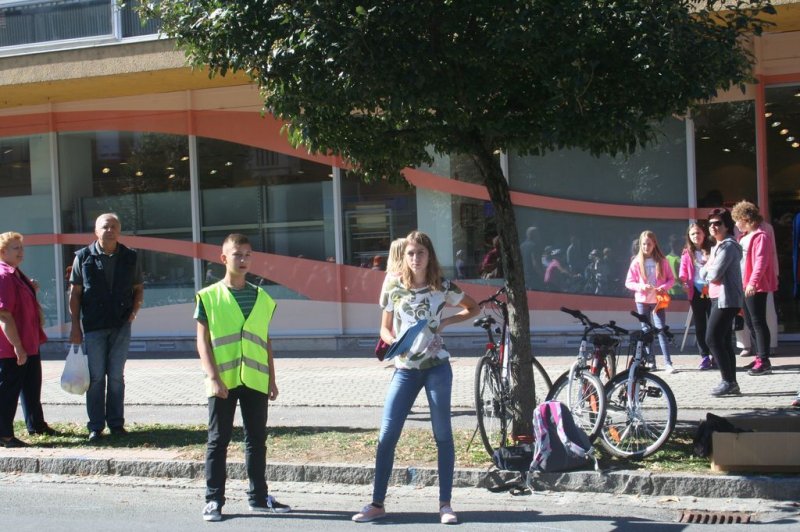 Dan brez avtomobila 2015