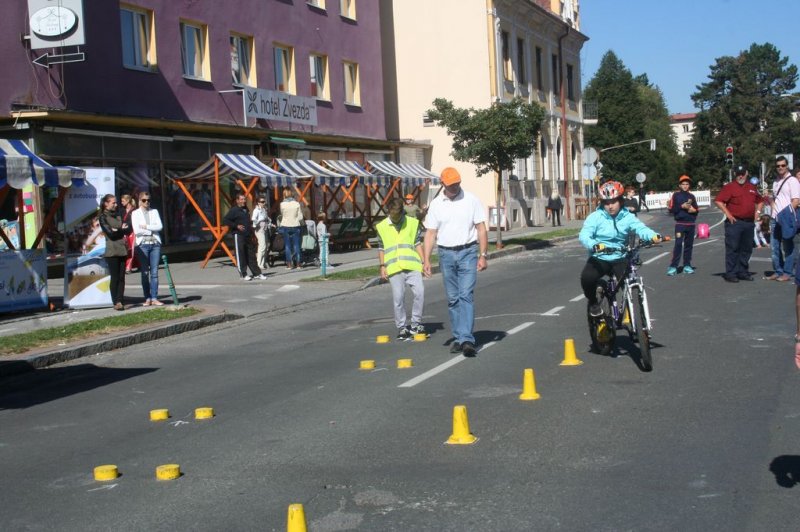 Dan brez avtomobila 2015