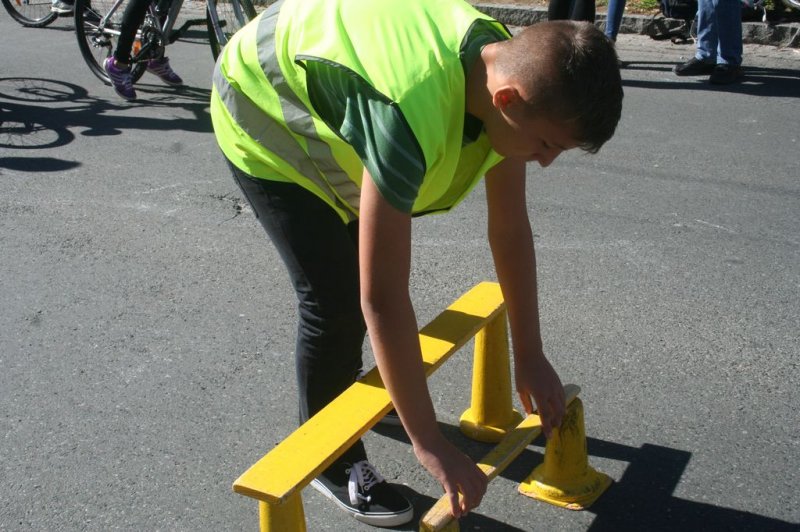 Dan brez avtomobila 2015