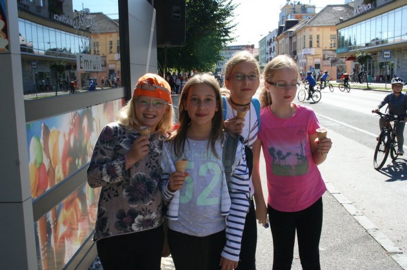 Dan brez avtomobila 2015