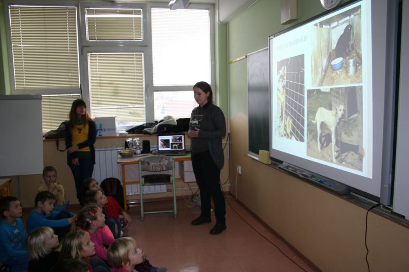 Društvo za zaščito živali Pomurja na obisku