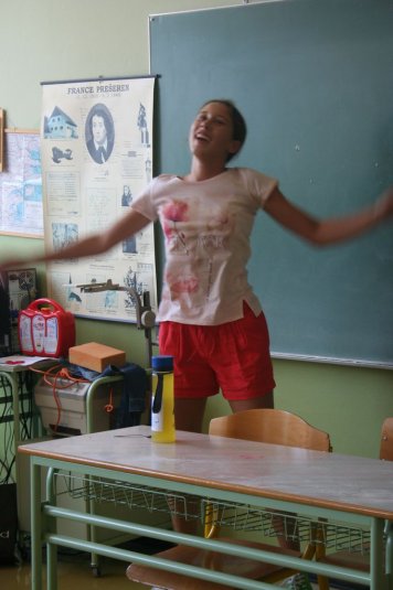 English in Action - poročilo