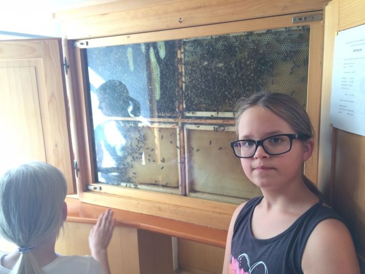 Ekskurzija za nadarjene