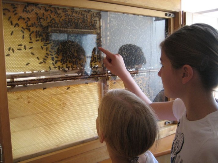 Ekskurzija za nadarjene