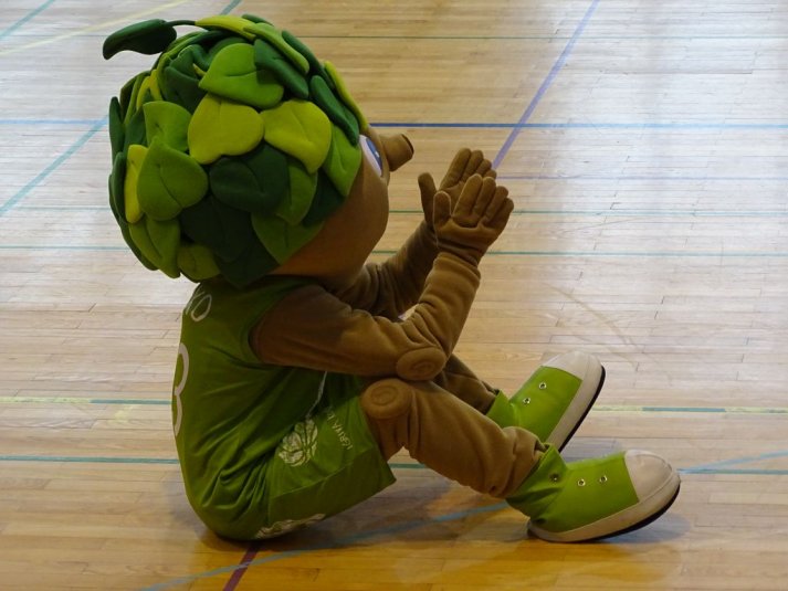 Finale DP v košarki