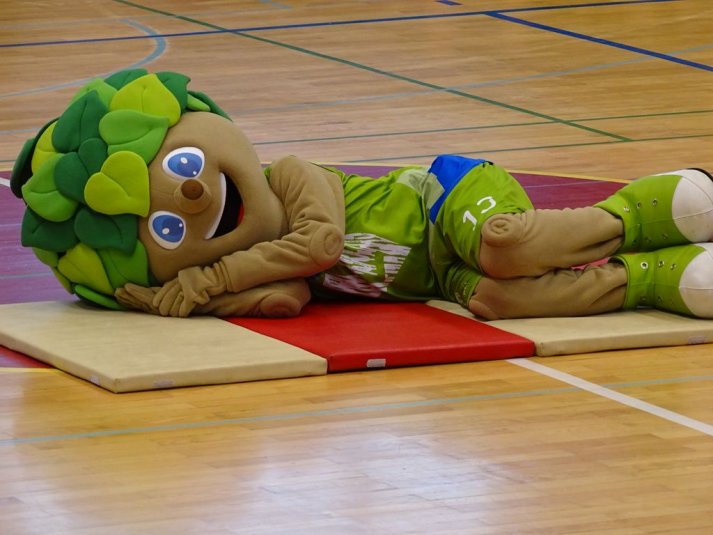 Finale DP v košarki