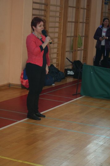 Finale DP v badmintonu