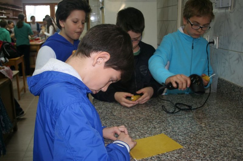 Dvodnevne delavnice za nadarjene učence