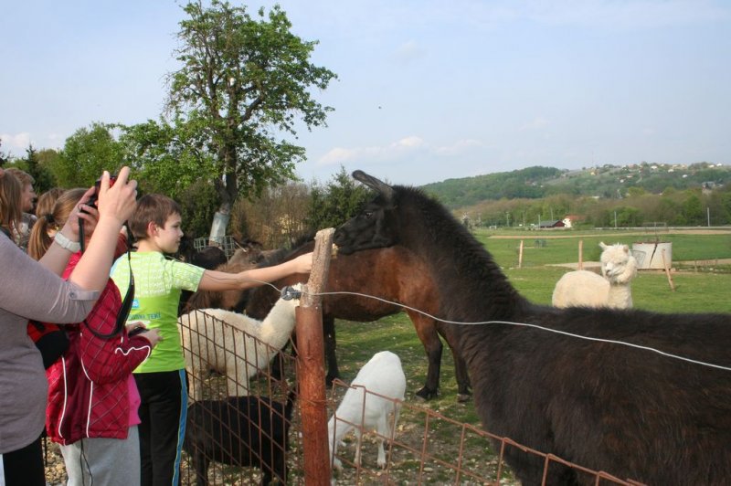 Dvodnevne delavnice za nadarjene učence
