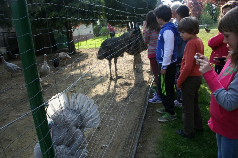 Dvodnevne delavnice za nadarjene učence