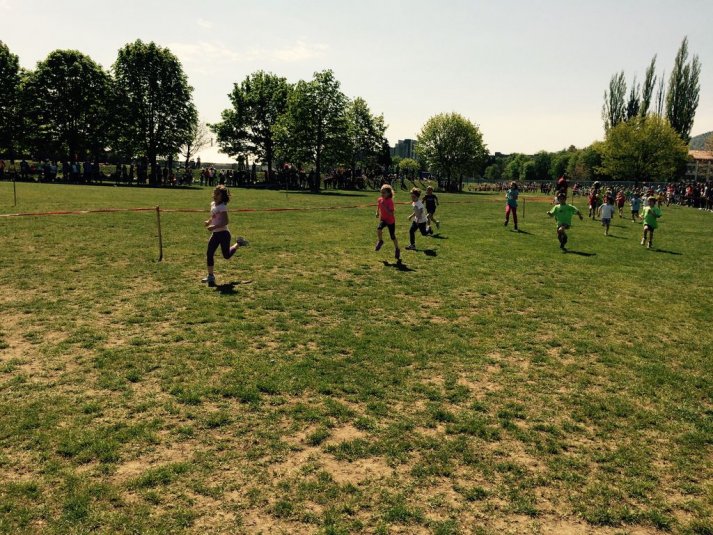 Ekipno prvenstvo v krosu