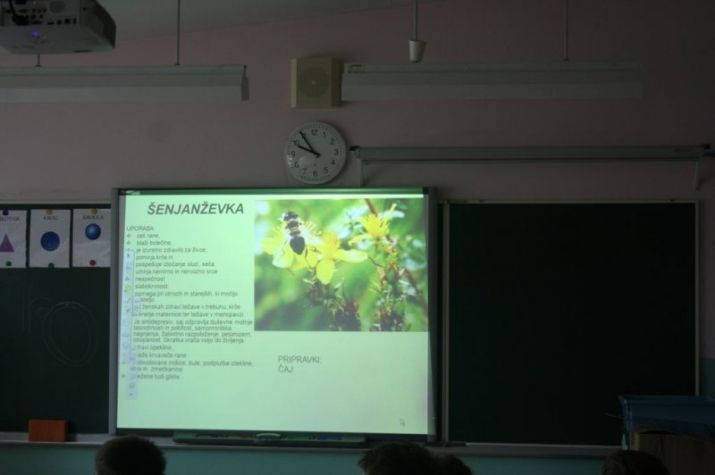 Naravoslovni dan - Zelišča