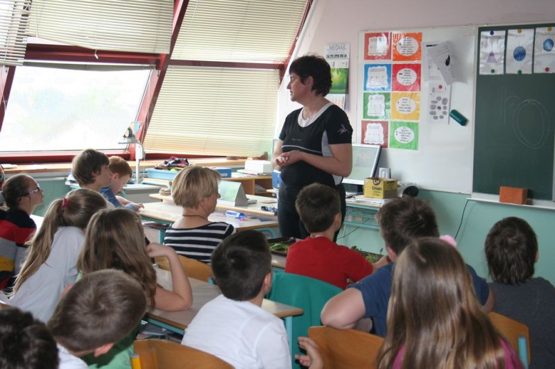 Naravoslovni dan - Zelišča