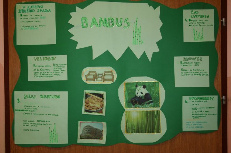 Naravoslovni dan - Zelišča