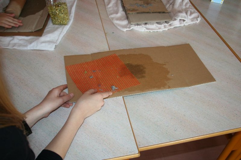 Naravoslovni dan - Zelišča