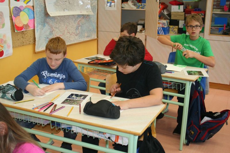 Naravoslovni dan - Zelišča